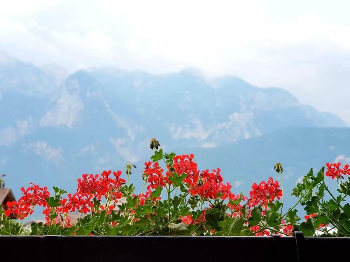 La Casa Di Michela - 120M2 In The Mountains With Fireplace & Garden Strigno Exterior photo